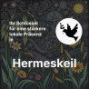 Hermeskeil Bestatter Marketing zum Bestpreis